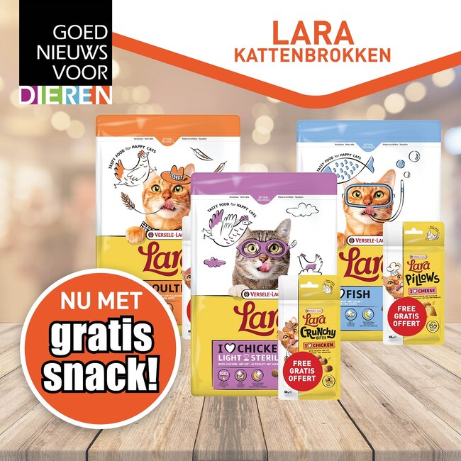 Lara kattenvoeding